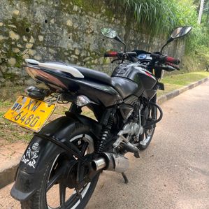 Bajaj Pulsar 135 2012 - Image 3