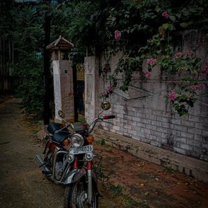 Honda CD 125 1979 - Image 2