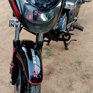 Bajaj Pulsar 150 2017 - Image 3