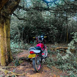 Bajaj CT100 2007 - Image 3