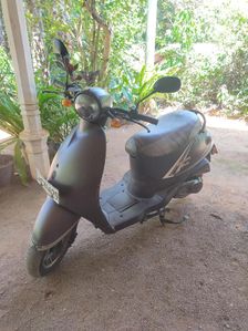 Demak Piranha Plus 2014