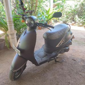 Demak Piranha Plus 2014 - Image 2