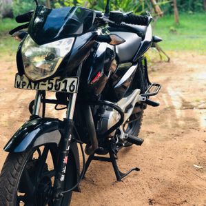 Bajaj Pulsar 135 2012 - Image 2