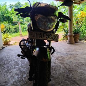 Bajaj Pulsar 135 LS 2013 - Image 3