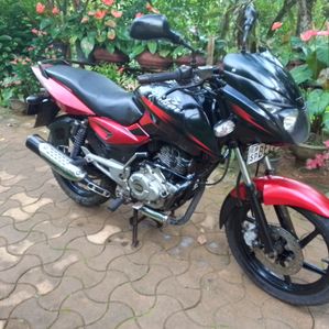 Bajaj Pulsar 150 2017 - Image 2
