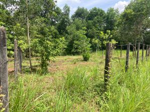 Land for Sale in Athurugiriya