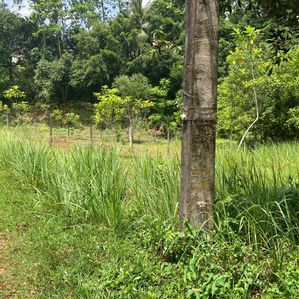 Land for Sale in Athurugiriya - Image 4