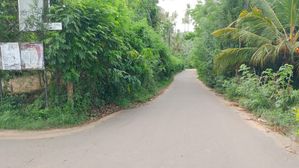 Valuable Land Sale Tangalle for sale in Hambantota, Hambantota