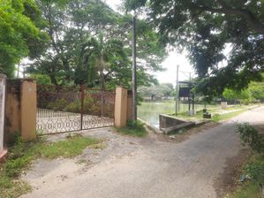 காணியுடன் கூடிய வீடு விற்பனைக்கு for sale in Jaffna, Jaffna