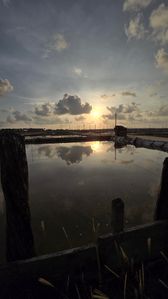 Saltern Land in Puttalam for Sale for sale in Puttalam, Puttalam