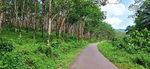 Land For Sale in Bulathsinhala