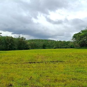 Land For Sale in Bulathsinhala - Image 3