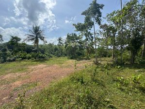 Land for Sale in Ahangama