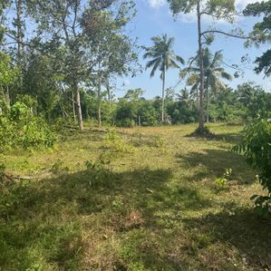 Land for Sale in Ahangama - Image 2