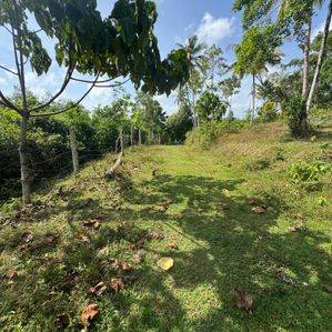 Land for Sale in Ahangama - Image 3