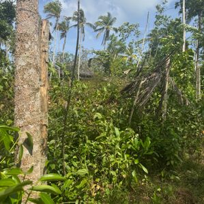 Land for Sale in Ahangama - Image 4