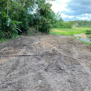 පිළියන්දල කොට්ටාව ඉඩමක් - Image 2