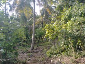 Land for Sale in Kurunegala
