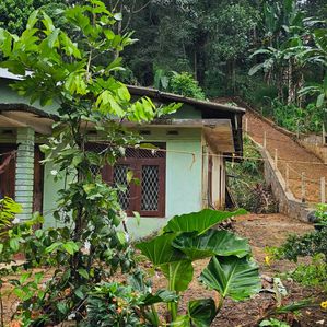 51 Perches Land for Sale Ambagamuwa - Image 2