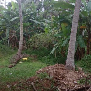 Land for sale Pallewela - Image 2
