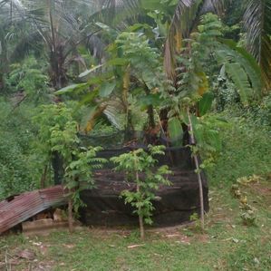 Land for sale Pallewela - Image 3