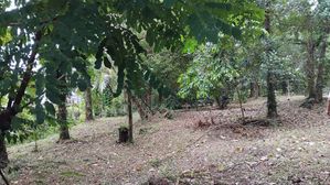 Valuable Land of 40 Perches is for Sale in Kadawatha for sale