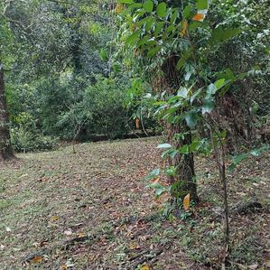 Valuable Land of 40 Perches is for Sale in Kadawatha - Image 2