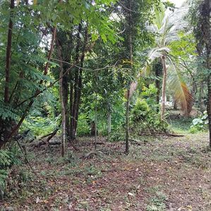 Valuable Land of 40 Perches is for Sale in Kadawatha - Image 4