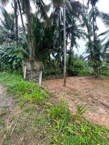 Land for sale in Pannipitiya Arawwala for sale