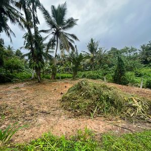 Land for sale in Pannipitiya Arawwala - Image 2