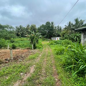 Land for sale in Pannipitiya Arawwala - Image 3