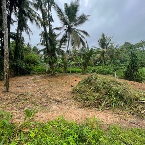 Land for sale in Pannipitiya Arawwala - Image 4