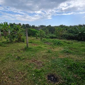 Land for sale Kelaniya, Pamunuwila - Image 2
