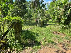 Land for Sale Assanawaththa, Divulapitiya