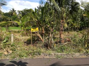 Anuradhapura Sinnakkara Land for Sale – ( Jaffna Junction)