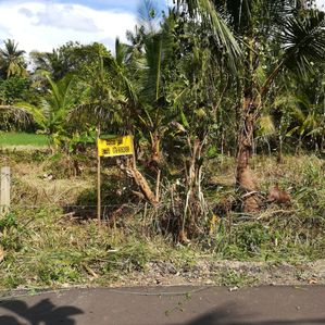 Anuradhapura Sinnakkara Land for Sale – ( Jaffna Junction) - Image 2
