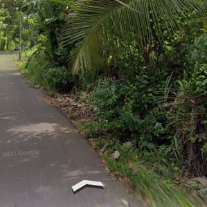 Anuradhapura Sinnakkara Land for Sale – ( Jaffna Junction) - Image 4