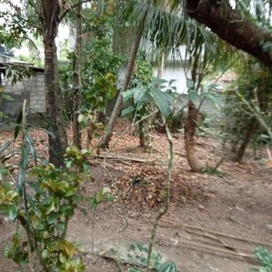 Land for Sale in Siddamulla - Image 3