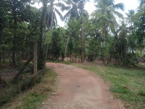 ඉඩමක් විකිණීමට යක්කල