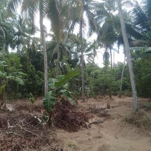 ඉඩමක් විකිණීමට යක්කල - Image 2