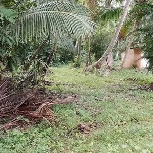 Prime Land for Sale in Wadduwa - Image 3
