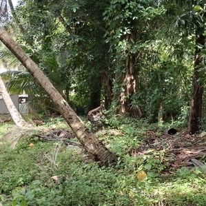 Prime Land for Sale in Wadduwa - Image 4