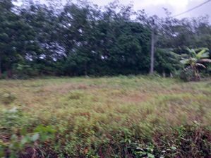 Land for Sale Horana for sale
