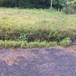 Land for Sale Horana - Image 2