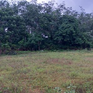 Land for Sale Horana - Image 4