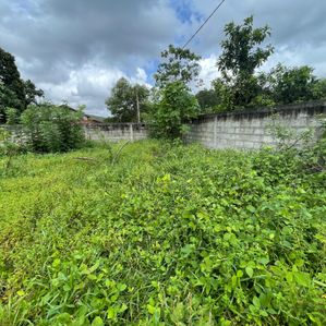 Land for sale in Walikala Road, Pokunuwita - Image 2