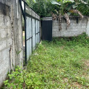 Land for sale in Walikala Road, Pokunuwita - Image 4
