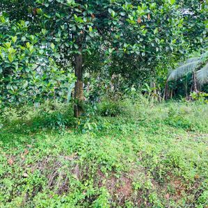 Land for Sale in Kaduwela - Image 3