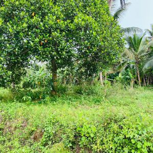 Land for Sale in Kaduwela - Image 4