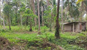 Land for Sale in Udugampola, Naiwala road, Marapola